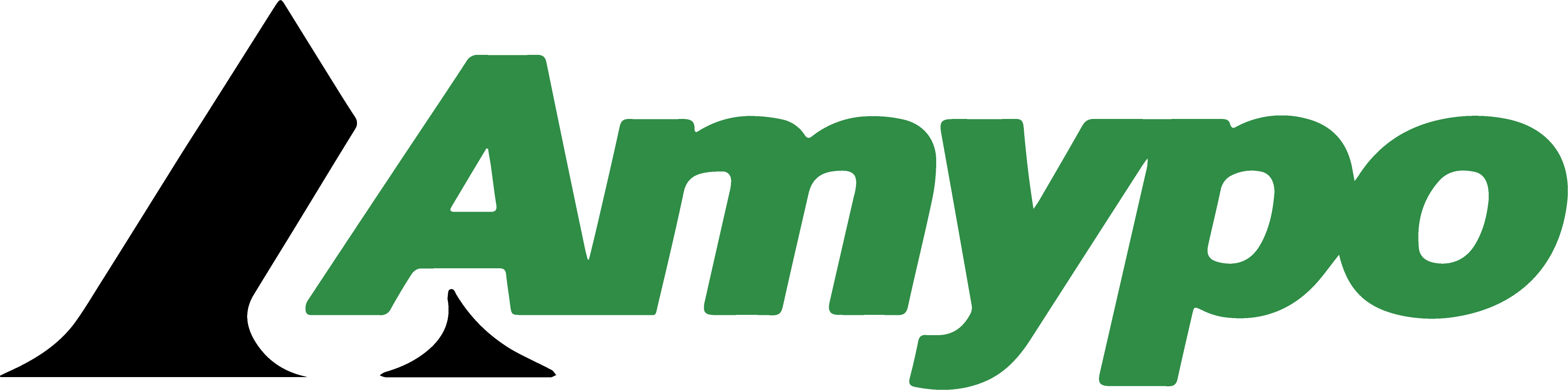 Amypo Technologies